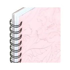 2025 Cambridge Alicia 5.5