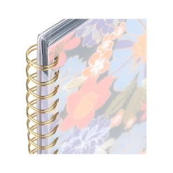 2024-2025 Cambridge Bridgette 5.5