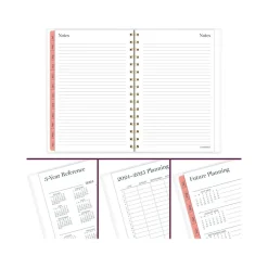 2024-2025 Cambridge Bridgette 5.5