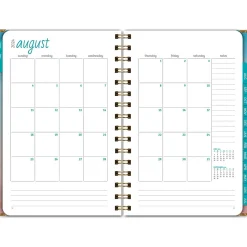 2024-2025 Excello Global Products Blue Pink Gradient 5.5