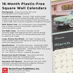 2025 Motor Club Dream Cars 12