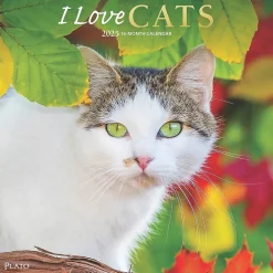 2025 Plato I Love Cats 12" x 12" Monthly Wall Calendar (9781975478957)