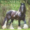2025 Plato Magnificent Horses 12" x 12" Monthly Square Wall Calendar (9781975478995)