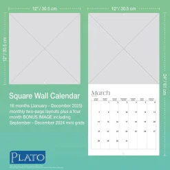 2025 Plato Monster Bucks 12