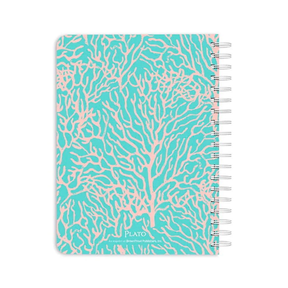 2024 Plato Seaside Currents 6" x 7.75" Academic & Calendar Weekly Planner, Paperboard Cover, Blue/Pink (9781975470579)