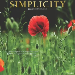2025 Plato Simplicity 12" x 24" Monthly Square Wall Calendar (9781975478810)