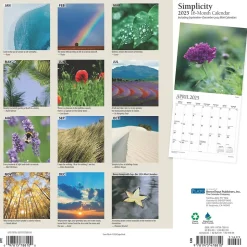 2025 Plato Simplicity 12" x 24" Monthly Square Wall Calendar (9781975478810)