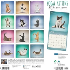 2025 Plato Yoga Kittens 12" x 12" Monthly Wall Calendar (9781975480134)