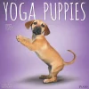 2025 Plato Yoga Puppies 12" x 12" Monthly Wall Calendar (9781975480141)