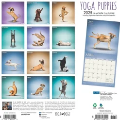2025 Plato Yoga Puppies 12" x 12" Monthly Wall Calendar (9781975480141)