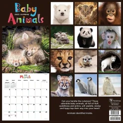 2025 TF Publishing 12" x 12" Baby Animals Wall Calendar (25-1000)