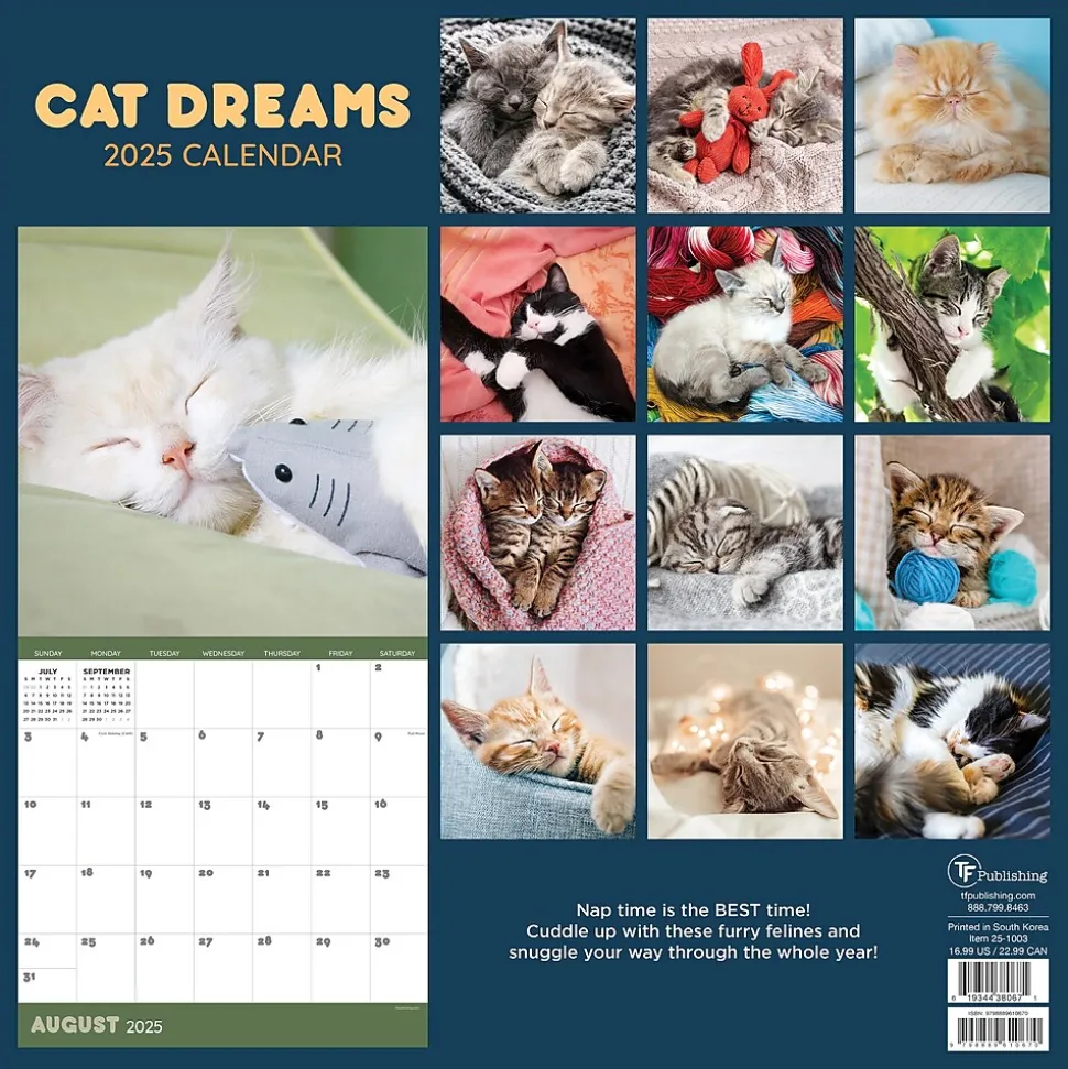 2025 TF Publishing 12" x 12" Cat Dreams Wall Calendar (25-1003)