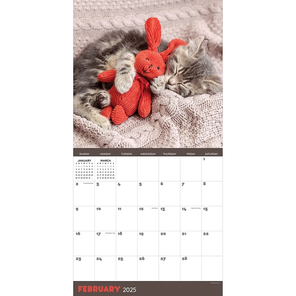 2025 TF Publishing 12" x 12" Cat Dreams Wall Calendar (25-1003)
