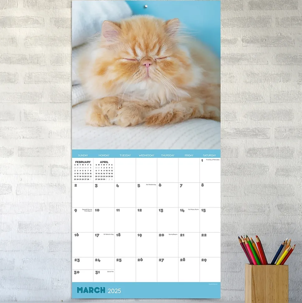 2025 TF Publishing 12" x 12" Cat Dreams Wall Calendar (25-1003)