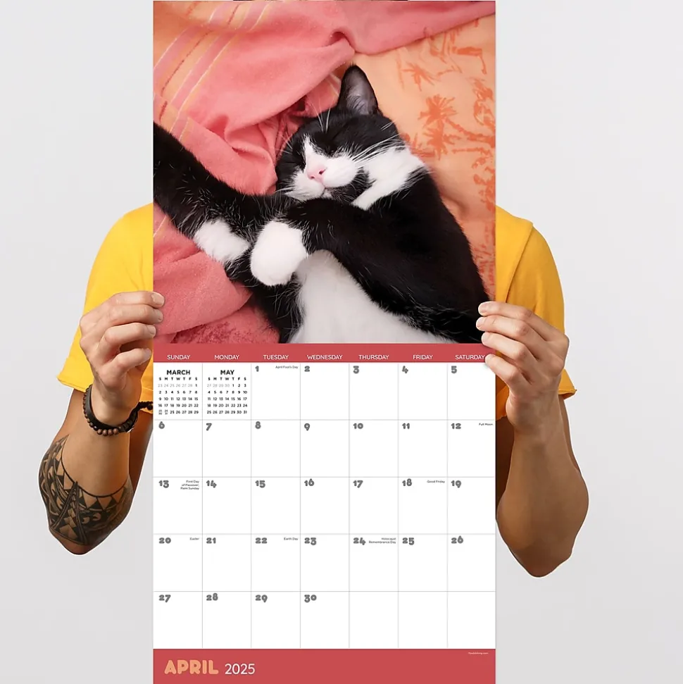 2025 TF Publishing 12" x 12" Cat Dreams Wall Calendar (25-1003)