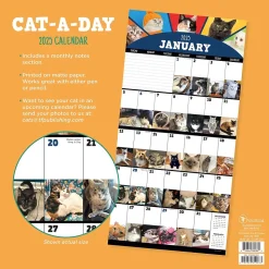 2025 TF Publishing 12" x 12" Cat-A-Day Wall Calendar (25-1002)
