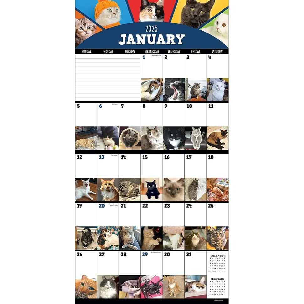 2025 TF Publishing 12" x 12" Cat-A-Day Wall Calendar (25-1002)