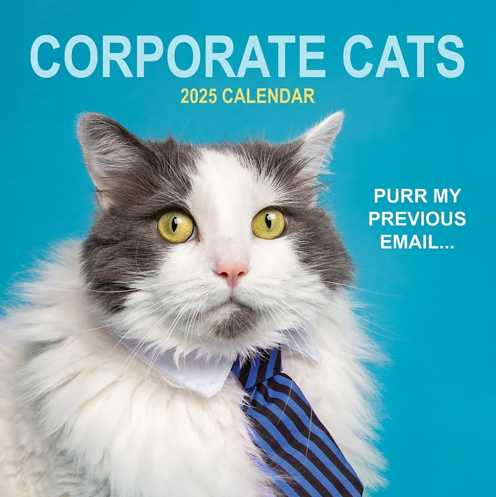2025 TF Publishing 12" x 12" Corporate Cats Wall Calendar (25-1005)