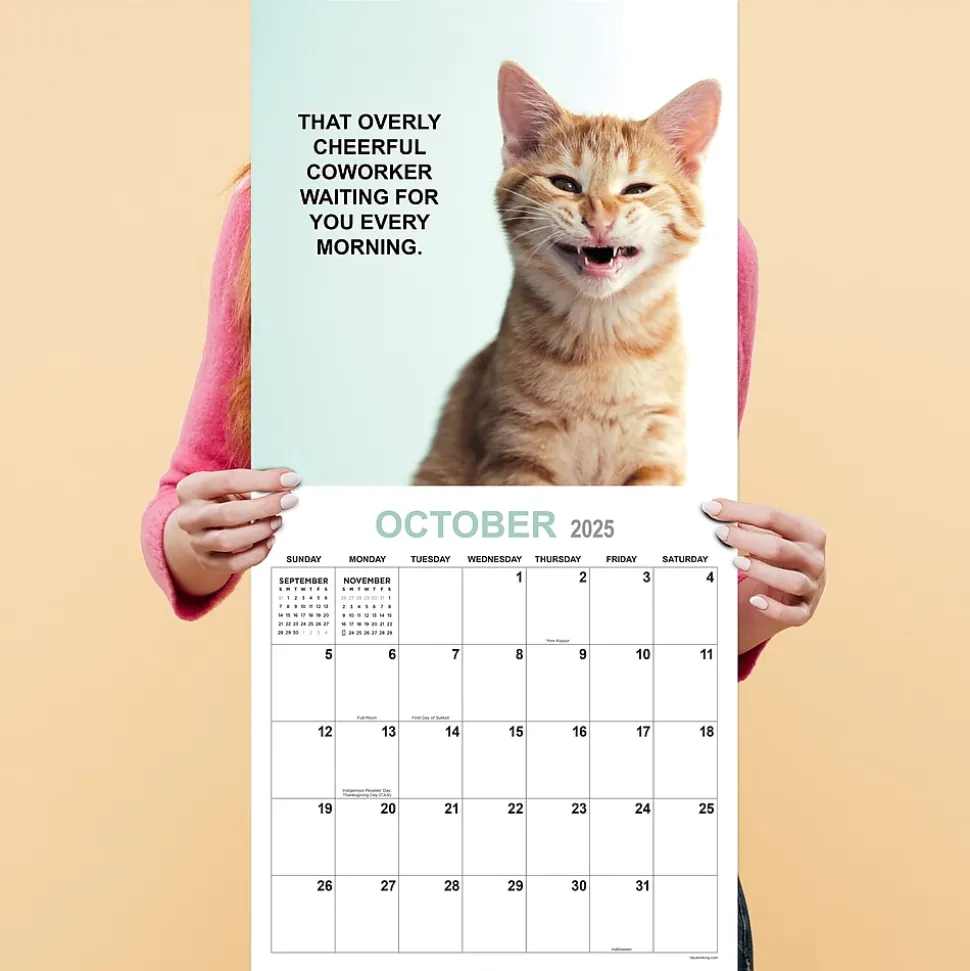 2025 TF Publishing 12" x 12" Corporate Cats Wall Calendar (25-1005)