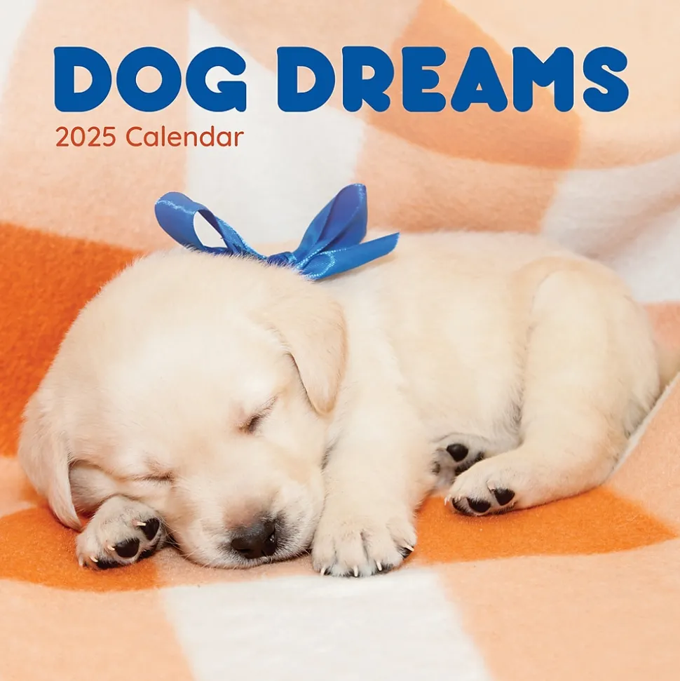 2025 TF Publishing 12" x 12" Dog Dreams Wall Calendar (25-1010)