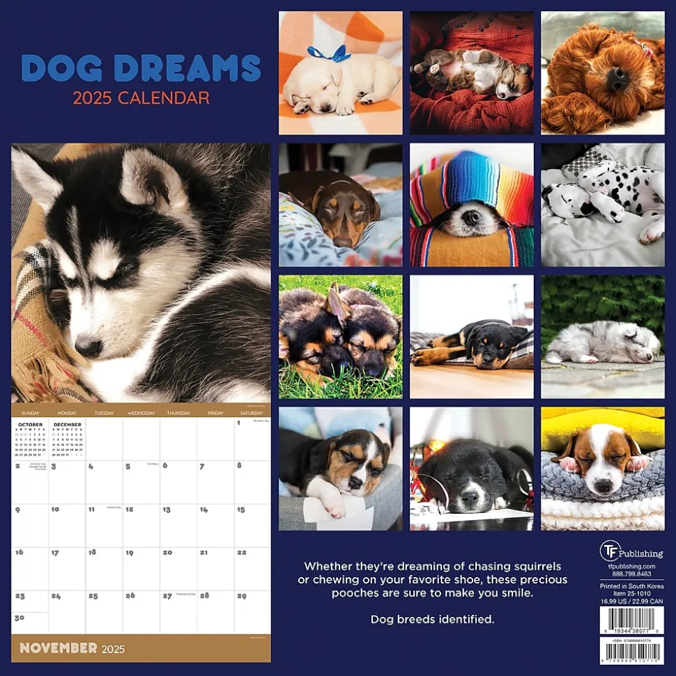 2025 TF Publishing 12" x 12" Dog Dreams Wall Calendar (25-1010)