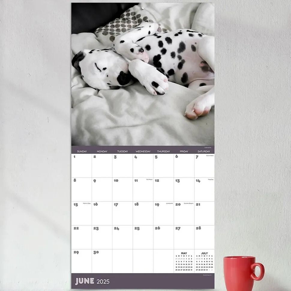2025 TF Publishing 12" x 12" Dog Dreams Wall Calendar (25-1010)