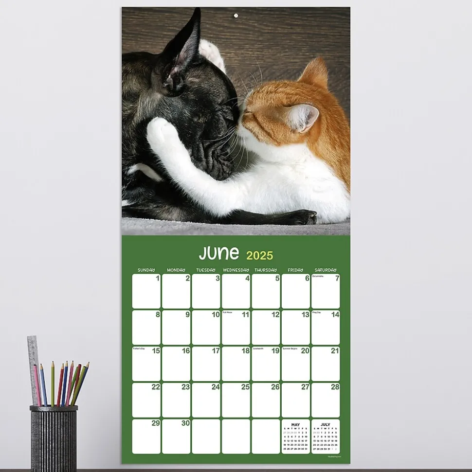 2025 TF Publishing 12" x 12" Furry Friends Wall Calendar (25-1011)