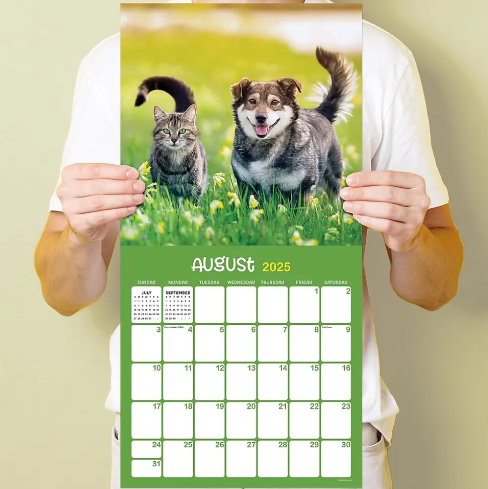 2025 TF Publishing 12" x 12" Furry Friends Wall Calendar (25-1011)