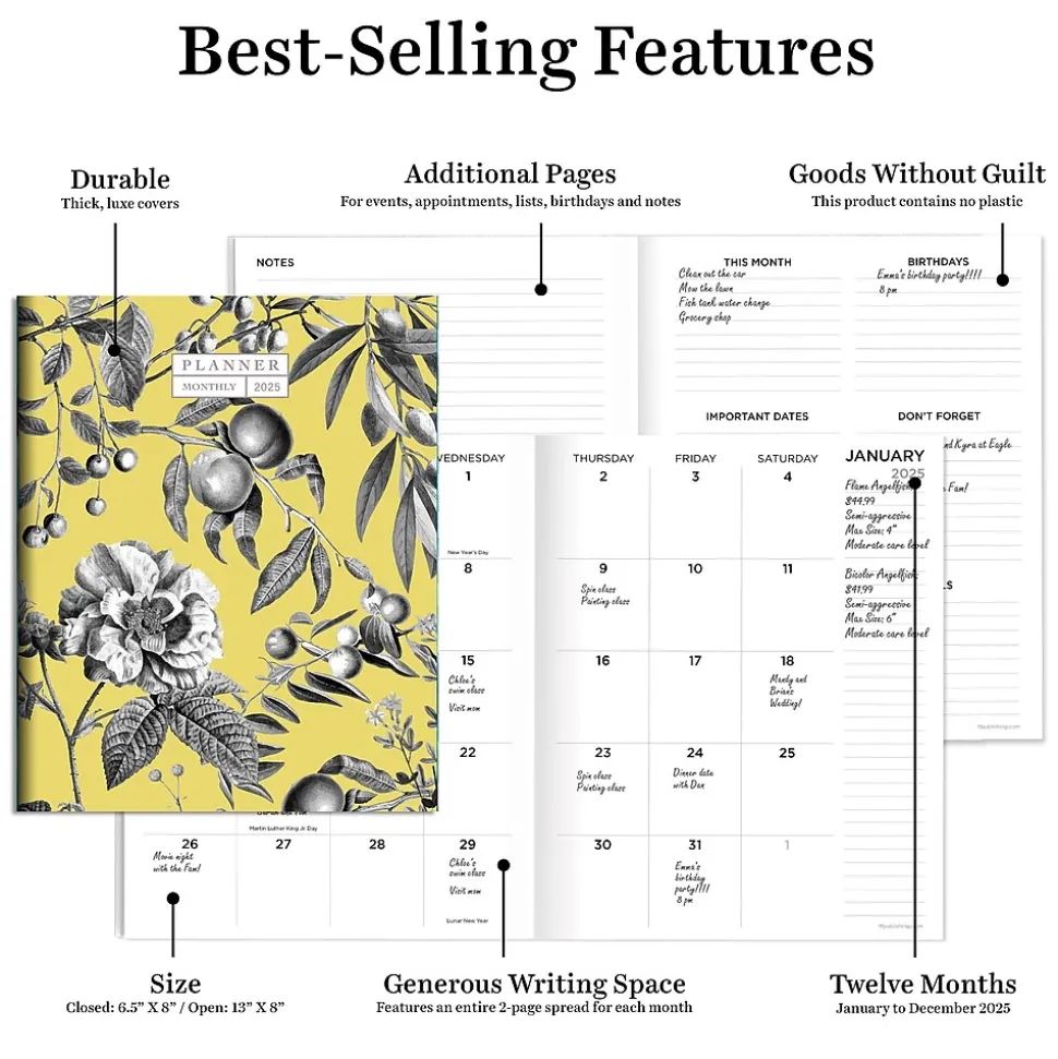 2025 TF Publishing 6.5" x 8" Monthly Planner, Paperboard Cover, Beyond the Pale Yellow (25-4202)