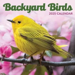 2025 TF Publishing Backyard Birds 7" x 7" Monthly Wall Calendar (25-2013)