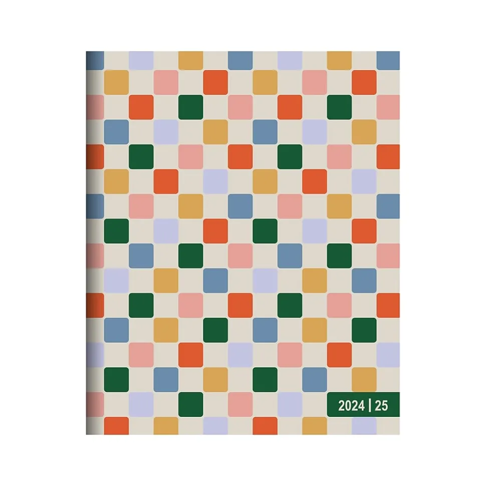 2024-2025 TF Publishing Color Squad 9" x 11" Academic Monthly Planner, Paperboard Cover, Multicolor (AY25-4504)