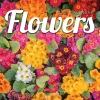 2025 TF Publishing Flowers 12" x 12" Monthly Wall Calendar (25-1034)