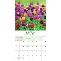 2025 TF Publishing Flowers 12