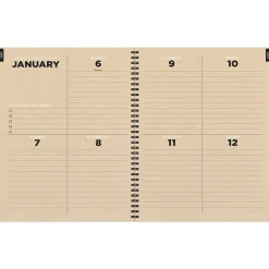 2025 TF Publishing Forest Mist 9