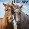 2025 TF Publishing Horses 7" x 7" Monthly Wall Calendar (25-2001)