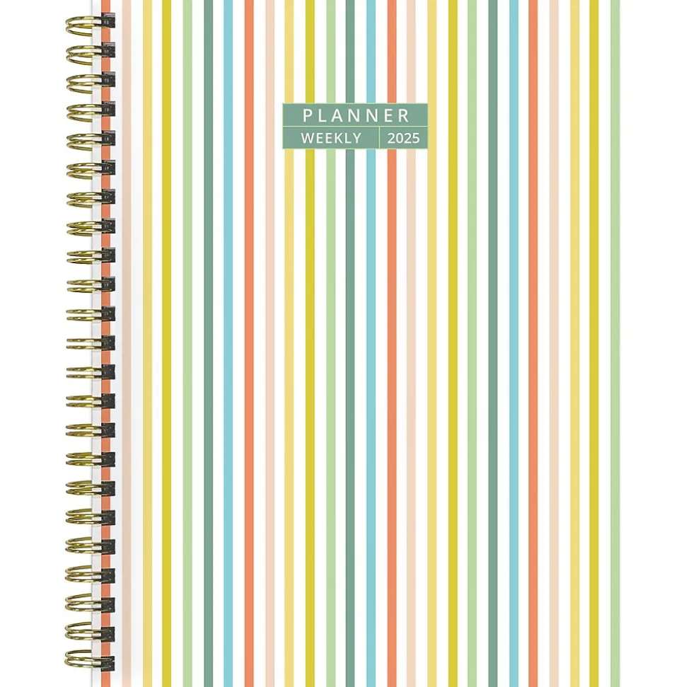 2025 TF Publishing Malibu Stripes 6.5" x 8" Weekly & Monthly Planner, Paperboard Cover, Multicolor (25-9216)