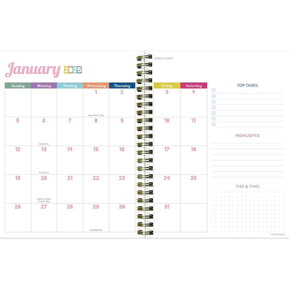 2025 TF Publishing Malibu Stripes 6.5" x 8" Weekly & Monthly Planner, Paperboard Cover, Multicolor (25-9216)