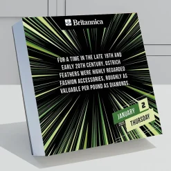 2025 TF Publishing One Good Fact 5.25