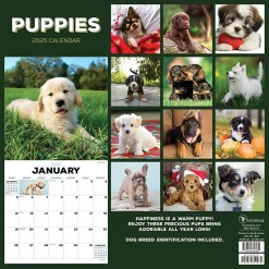 2025 TF Publishing Puppies 12" x 12" Monthly Wall Calendar (25-1025)