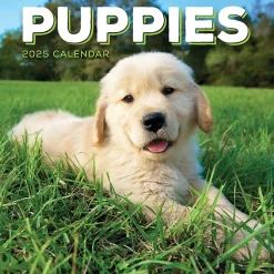 2025 TF Publishing Puppies 7" x 7" Monthly Wall Calendar (25-2007)