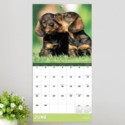 2025 TF Publishing Puppies 7