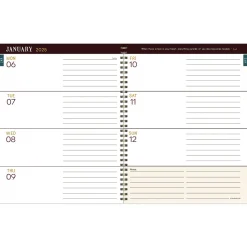 2025 TF Publishing Renaissance Year 9