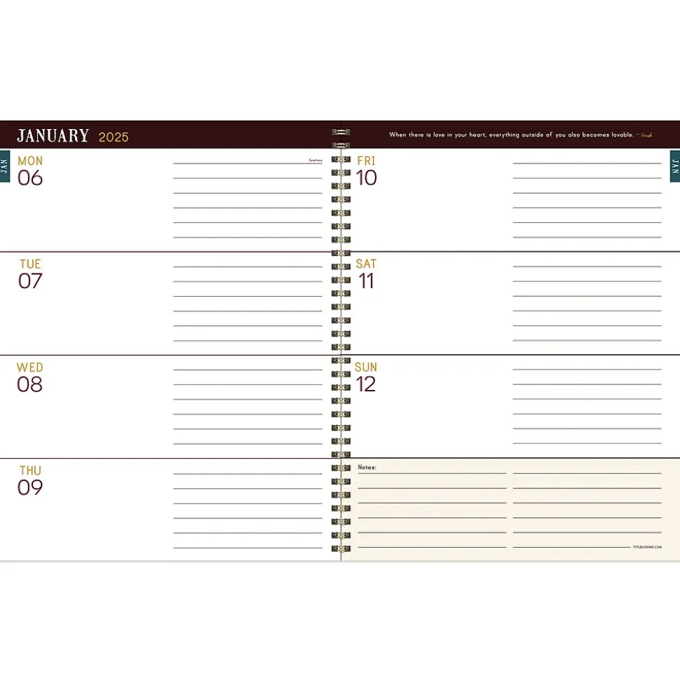 2025 TF Publishing Renaissance Year 9" x 11" Weekly & Monthly Planner, Paperboard Cover, Multicolored (25-9722)
