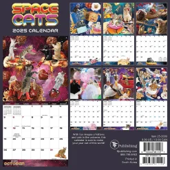 2025 TF Publishing Space Cats 7" x 7" Monthly Wall Calendar (25-2009)