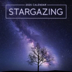2025 TF Publishing Stargazing 7" x 7" Monthly Wall Calendar (25-2010)