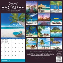 2025 TF Publishing Tropical Escapes 12" x 12" Monthly Wall Calendar (25-1031)