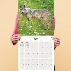 2025 TF Publishing Wolves 12