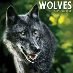 2025 TF Publishing Wolves 7" x 7" Monthly Wall Calendar (25-2015)