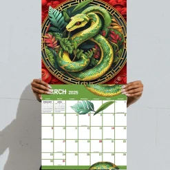 2025 TF Publishing Year of the Snake 12