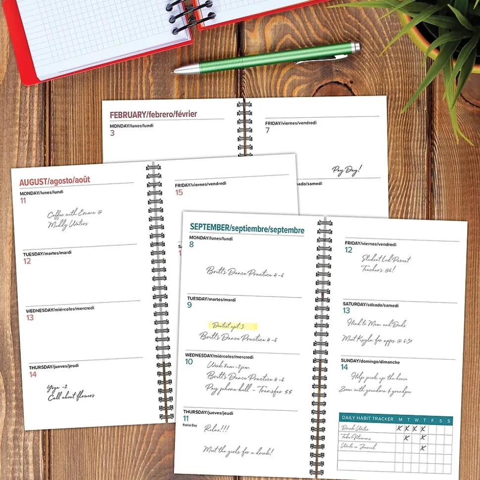 2025 Willow Creek 3.5" x 6.5" Weekly & Monthly Planner, Multicolored (48702)